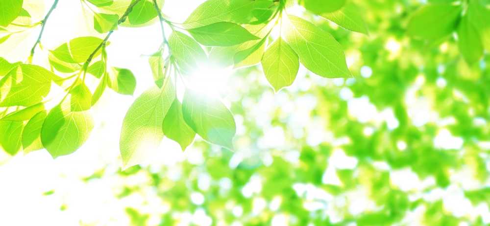 ヒーローイメージ